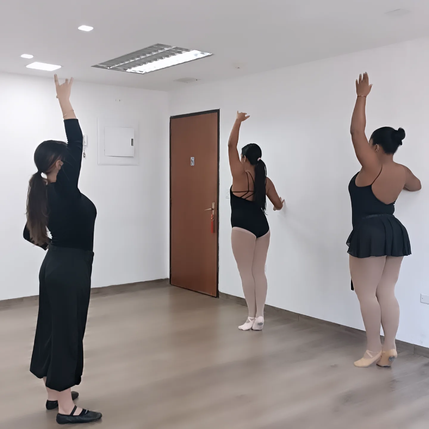 Galería de Técnica de Ballet — imagen 2